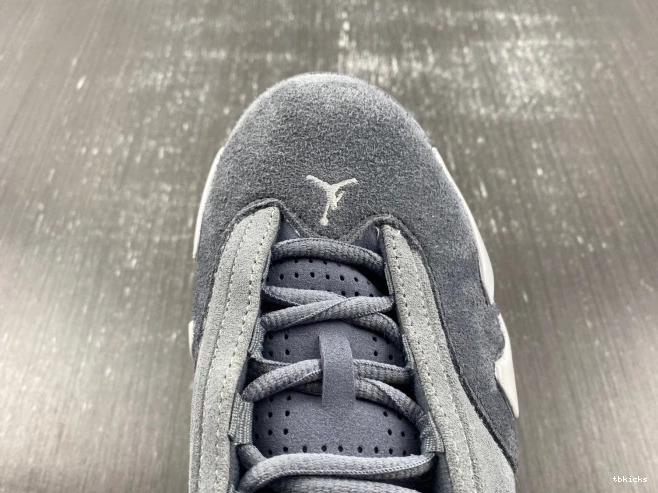 Reps TB Flint 14 Air Grey Jordan FJ3460-012 0715